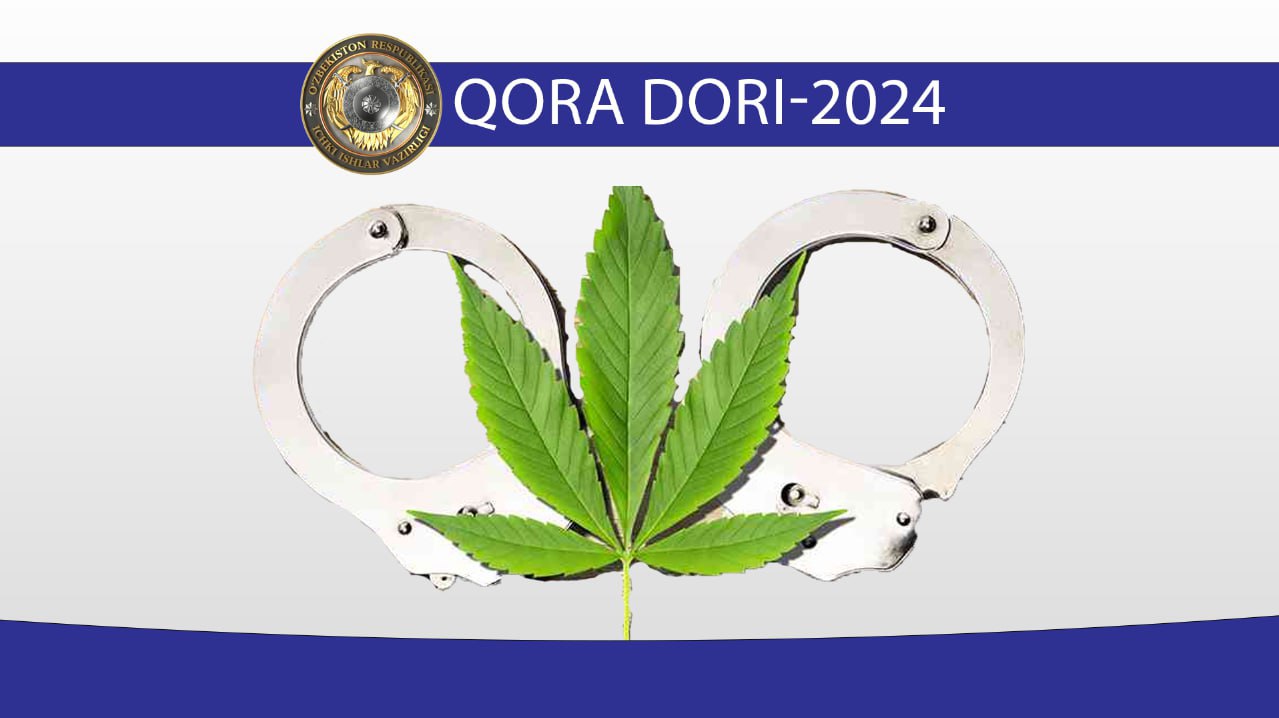 Buxoroda “Qoradori 2024” tezkor profilaktik tadbirlari davomida giyohvandlik moddalari bil…